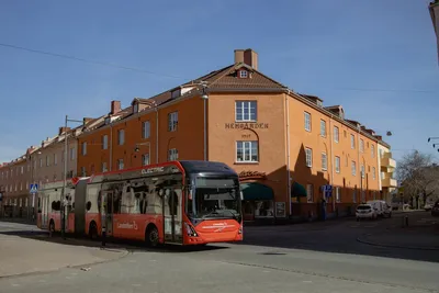 Transporte ecológico